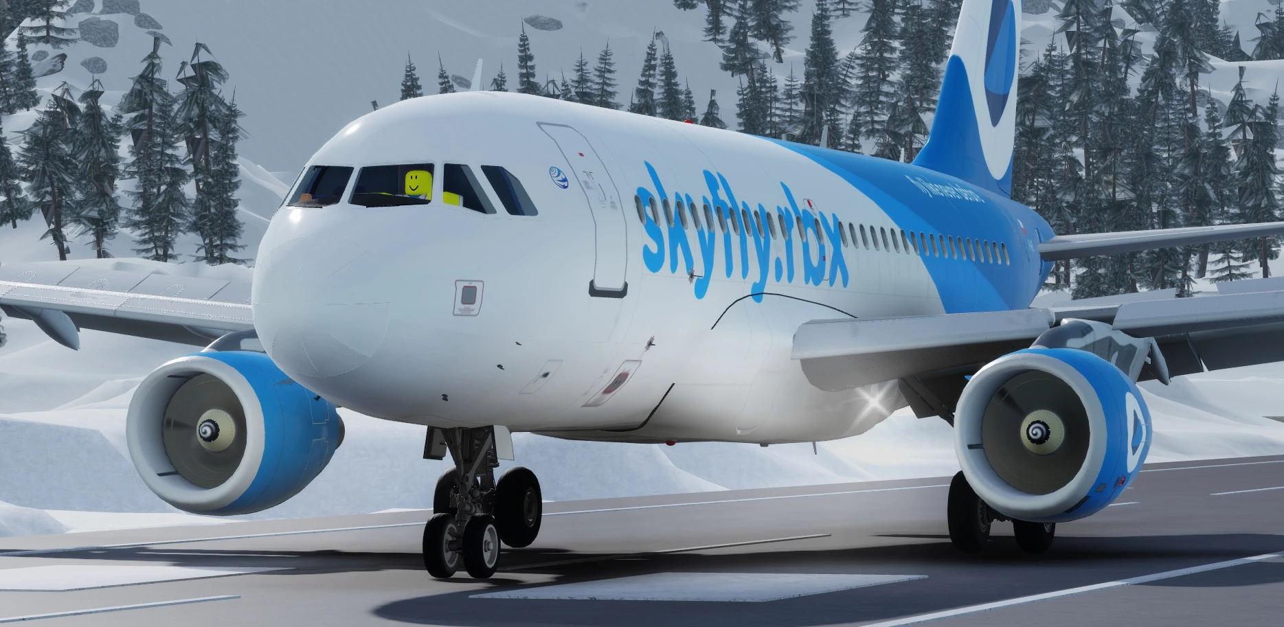 Airbus A319 landing.